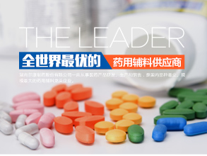 湖南尔康制药股份有限公司
